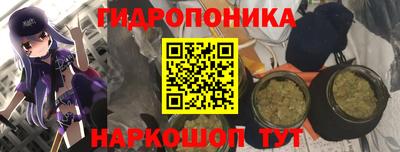 хмурый Краснодар