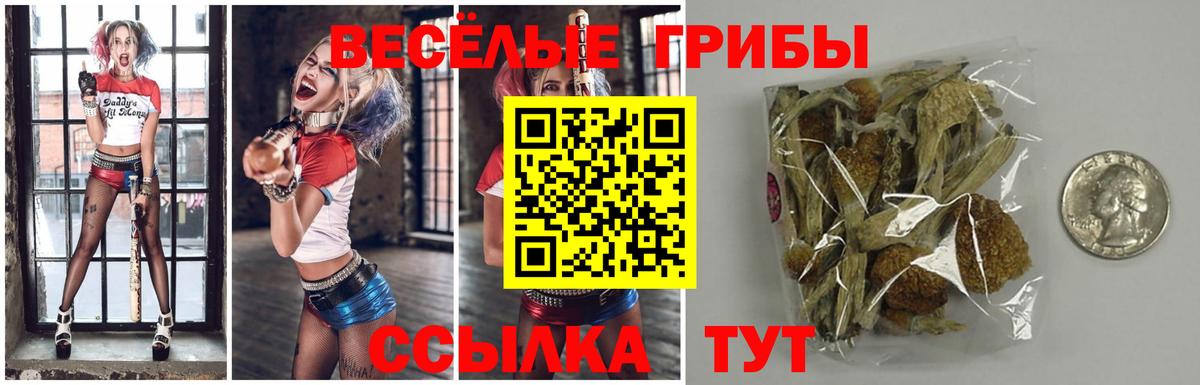 Галлюциногенные грибы Psilocybe  Вход с VPN  закладка  Усолье-Сибирское 